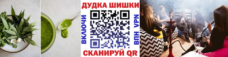 блэк спрут ссылки  Берёзовский  Cannafood конопля 
