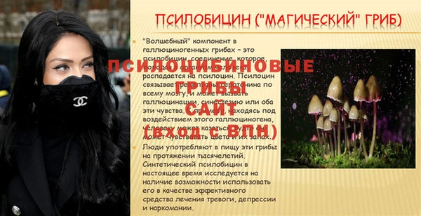 марки nbome Пересвет